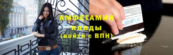 ГАЛЛЮЦИНОГЕННЫЕ ГРИБЫ Гусь-Хрустальный