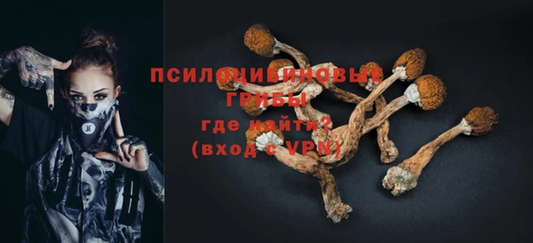 apvp Уссурийск