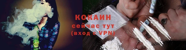 ГАЛЛЮЦИНОГЕННЫЕ ГРИБЫ Гусь-Хрустальный
