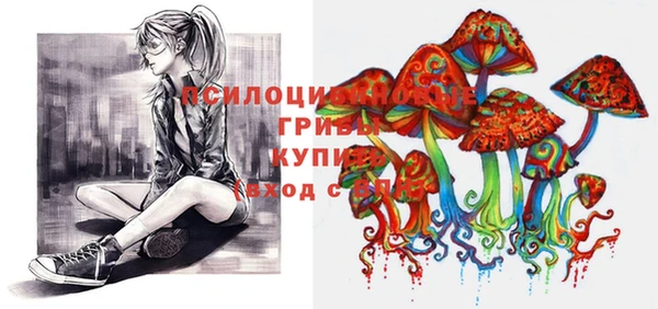 молекула духа Гусиноозёрск