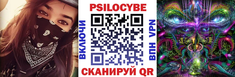 Псилоцибиновые грибы Cubensis  Купить  Ипатово 